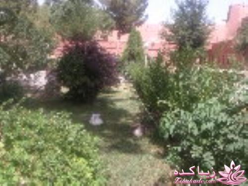 عکـــــــــــــــــس های گرفته شده در سفـــــــر